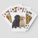 Recherche de labrador noir jeux de cartes Amoureux des chiens