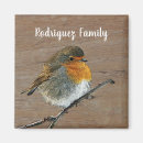 Recherche de jolis oiseaux magnets Oiseau rouge