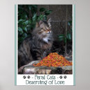 Recherche de chat sauvage art Chats sauvages