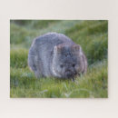 Recherche de wombat puzzles Australie