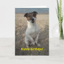 Recherche de chien chanceux vœux cartes Dog