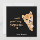 Recherche de shiba invitations Pour tous