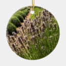 Recherche de lavande ornements Été