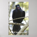 Recherche de wildlife posters Oiseau