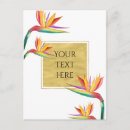 Recherche de or et blanc cartes postales Floral