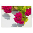 Recherche de géranium rouge cartes postales Rose