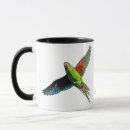 Recherche de tourterelle tasses Oiseau