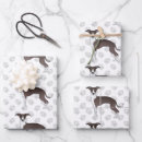 Recherche de greyhound papier cadeau Iggy