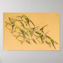 Recherche de oiseaux japonais posters Vintage