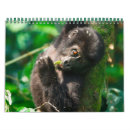 Recherche de ouganda Animaux