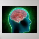 Recherche de image de cerveau Système nerveux