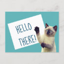 Recherche de messager de chat Chatons