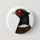 Recherche de volailles badges Oiseau