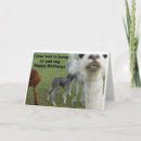 Recherche de alpaca anniversaire cartes Drôle