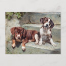 Recherche de chien vintage cartes postales Canin