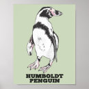 Recherche de petit pingouin posters Oiseau