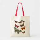 Recherche de mite sacs Animaux