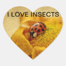 Recherche de coccinelle jaune autocollants Coléoptère