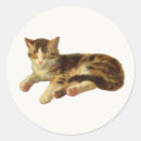 Recherche de nap autocollants Chat