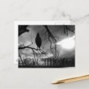 Recherche de corbeau gothique cartes postales Noir et blanc