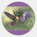 Recherche de colibri et fleur autocollants Pour tous