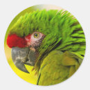 Recherche de cathy autocollants Animal