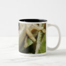Recherche de forestier tasses Nature