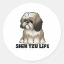Recherche de de tzu de shih autocollants Amoureux des chiens
