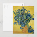 Recherche de iris jaune Vincent van gogh