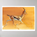 Recherche de gazelle art Désert