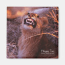 Recherche de chat heureux magnets Sourire