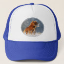 Recherche de poulain casquettes Animal