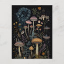 Recherche de champignons sauvages cartes postales Contenu générationnel