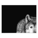 Recherche de regard de loup posters Gris
