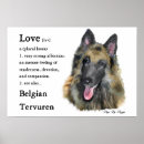 Recherche de tervuren posters Berger belge