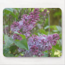 Recherche de fleurs lilas tapis souris Nature