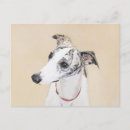 Recherche de whippet cartes postales Chiot
