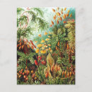 Recherche de ernst cartes postales Illustration