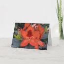 Recherche de rhododendrons vœux cartes Plante