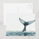 Recherche de queue de baleine cartes postales Océan