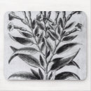 Recherche de tabac tapis souris Privé