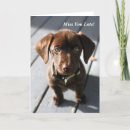 Recherche de laboratoire brun vœux cartes Chiot