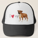 Recherche de bull terrier casquettes Taureau