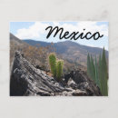 Recherche de cactus cartes postales Montagnes