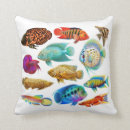 Recherche de poissons tropicaux coussins Pour tous