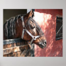 Recherche de stable posters Équin