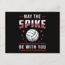 Recherche de volleyball cartes postales Volleyball de plage