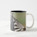 Recherche de privé tasses Humour