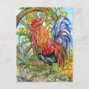 Recherche de rooster cartes postales Animal