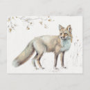 Recherche de xxiii cartes postales Renard